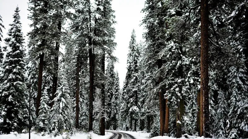 2026/2027 US Winter Forecast: What a Very Strong El Niño Means