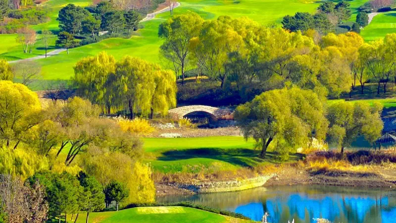 3M Open 2026 Predictions: Contenders, Players to Watch and a TPC Twin Cities Course Guide