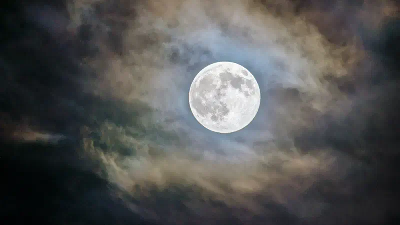 August 2026 Lunar Eclipse: Exact Times, Live Stream, Visibility Map & Where to Watch