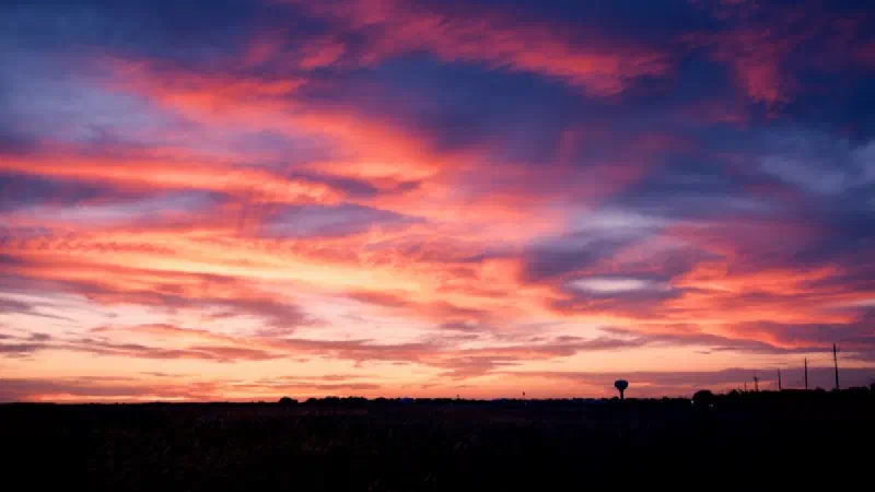 Dutton Ranch: Cast, Plot, Review and Ending Explained