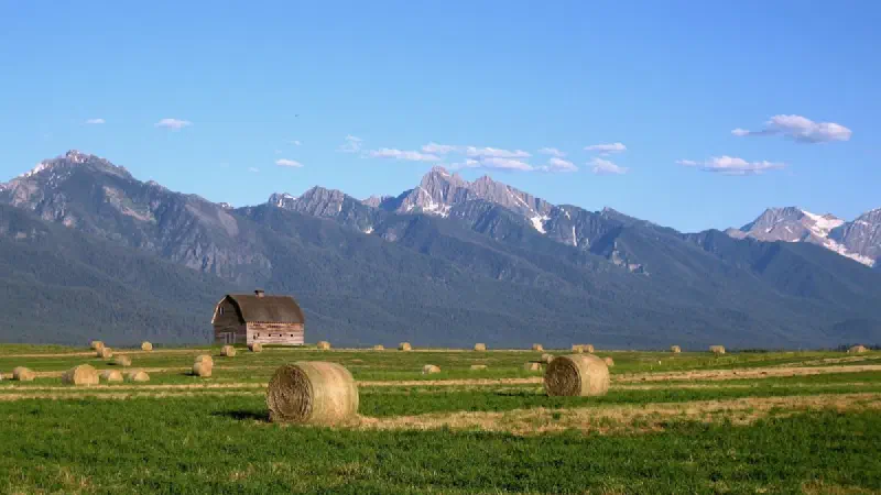 Dutton Ranch and Y: Marshals: Will There Be a Crossover? Plot and Cast Explained