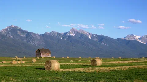Dutton Ranch and Y: Marshals: Will There Be a Crossover? Plot and Cast Explained