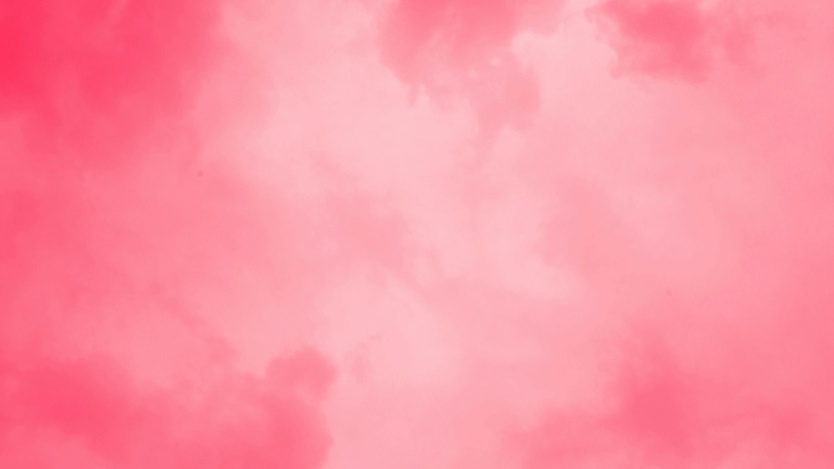 Elle Review, Cast, Ending Explained and Every Legally Blonde Easter Egg