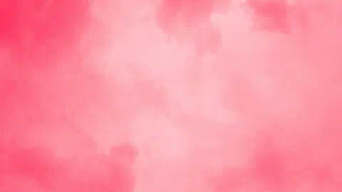 Elle Review, Cast, Ending Explained and Every Legally Blonde Easter Egg
