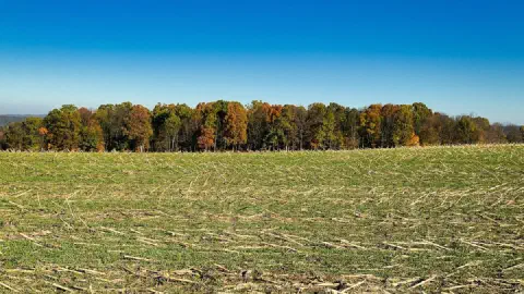 September 2026 Harvest Moon: Peak Time and How to Still Catch It
