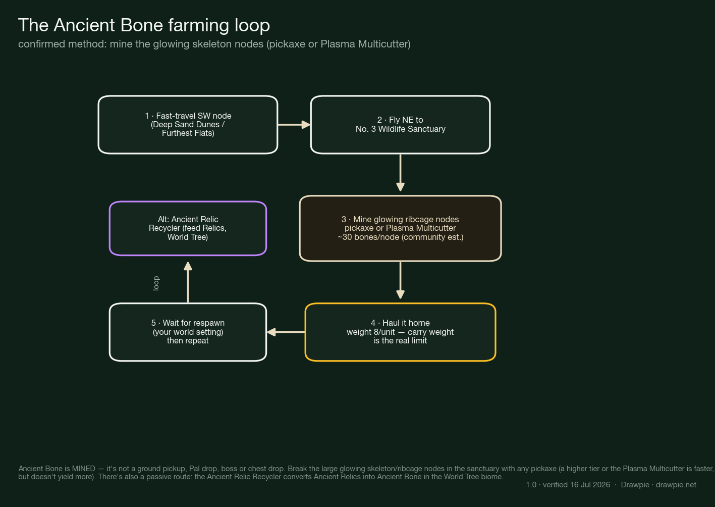 Flowchart of the Ancient Bone farming loop in Palworld 1.0: fast-travel to a south-west node, fly north-east to the No. 3 Wildlife Sanctuary, mine the glowing ribcage nodes with a pickaxe or Plasma Multicutter (about 30 bones per node, a community estimate), haul it home (weight 8 per unit is the real limit), wait for respawn on your world setting, then repeat. A side note shows the Ancient Relic Recycler as an alternative passive source.