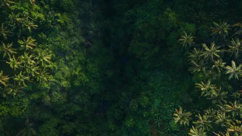 Palworld 1.0 Wildlife Sanctuary Guide: Locations, Drones, Bosses & Ancient Materials