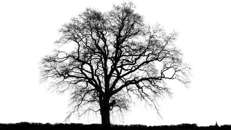 Palworld 1.0 Guide: How to Capture Panthalus & Unlock the World Tree