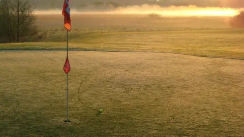Presidents Cup 2026: Format, Standings, and How to Watch Sunday Singles