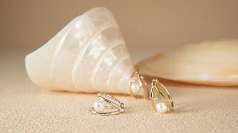 Princess of Wales' New Earrings: Ralph Lauren Price, Where to Buy