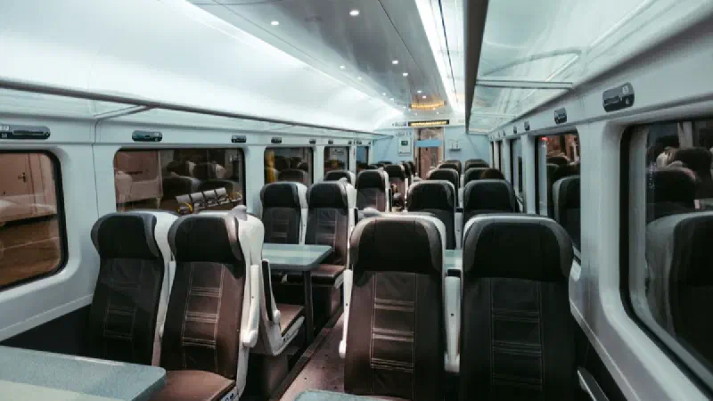 Bedbugs on Southeastern Trains: What Has Been Confirmed After Services Were Cancelled