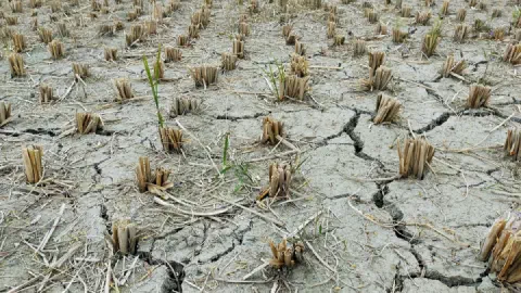Southern U.S. Heat Wave Forecast: Temperatures, Heat Alerts & When It Will End
