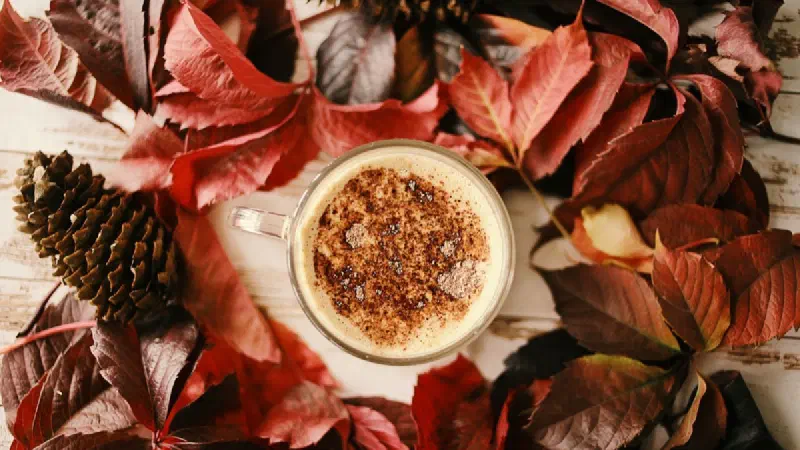 Starbucks Fall Menu 2026: Pumpkin Spice Latte, New Drinks, Prices & Full Menu