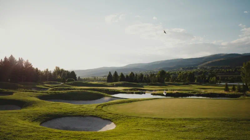 Tour Championship 2026 Field: FedExCup Top 30, Format, Prize Money & Qualifiers