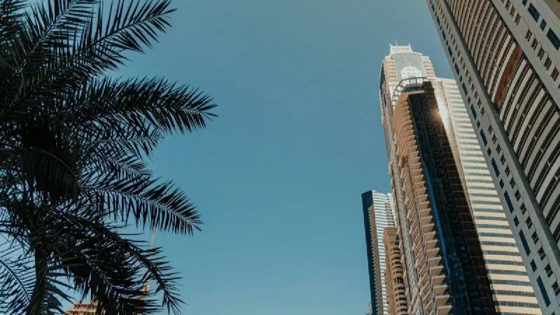 UAE Nafis Program Updates 2026: Salary Support, Eligibility & September Changes