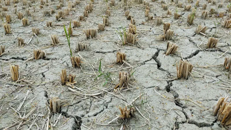 When Does the UK Heatwave End? It Already Has for Most of England