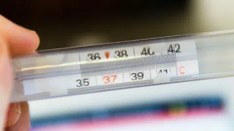 UK Heatwave Red Warning: Are Schools Closing, and How to Check