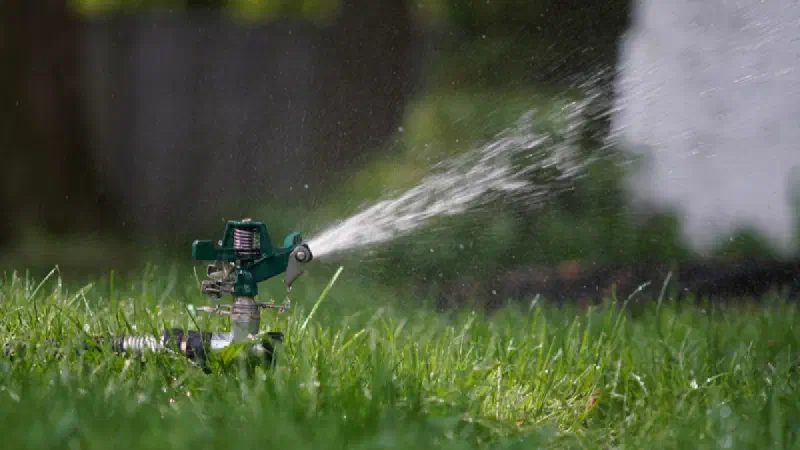 UK Hosepipe Ban 2026: The Areas Affected and What You Can and Cannot Do