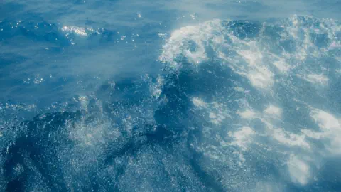 How Hurricanes Form and Why So Many Are Active Right Now