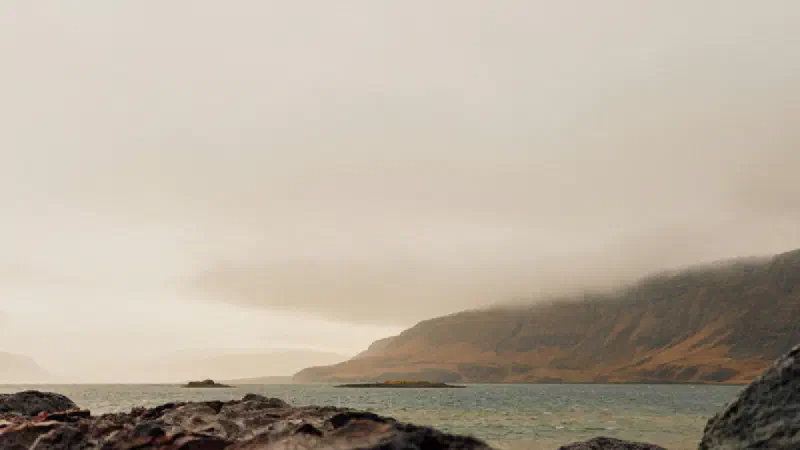 Where to Watch Widow's Bay: The Whole Season Fits in the Free Trial