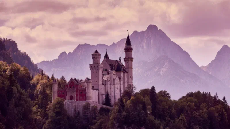 WoW Forever: Where to Pre-Order, and What Each Edition Actually Gets You
