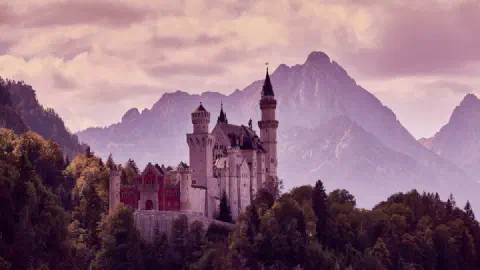 WoW Forever: Where to Pre-Order, and What Each Edition Actually Gets You