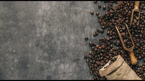 カルディ「コーヒーの日バッグ」2026はどこで買える？