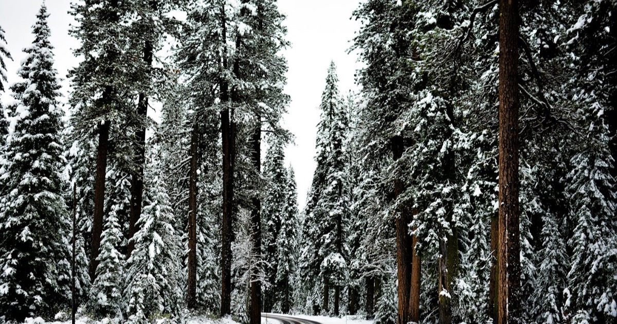 noaa-winter-forecast-2026-2027-el-ni-o-snow-october-date